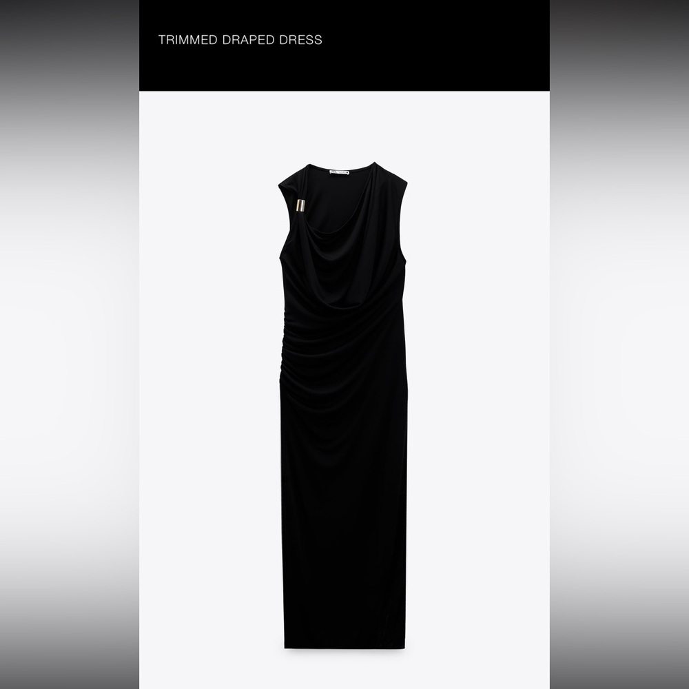 Zara dress